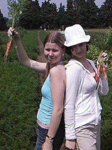 Pick Your Own